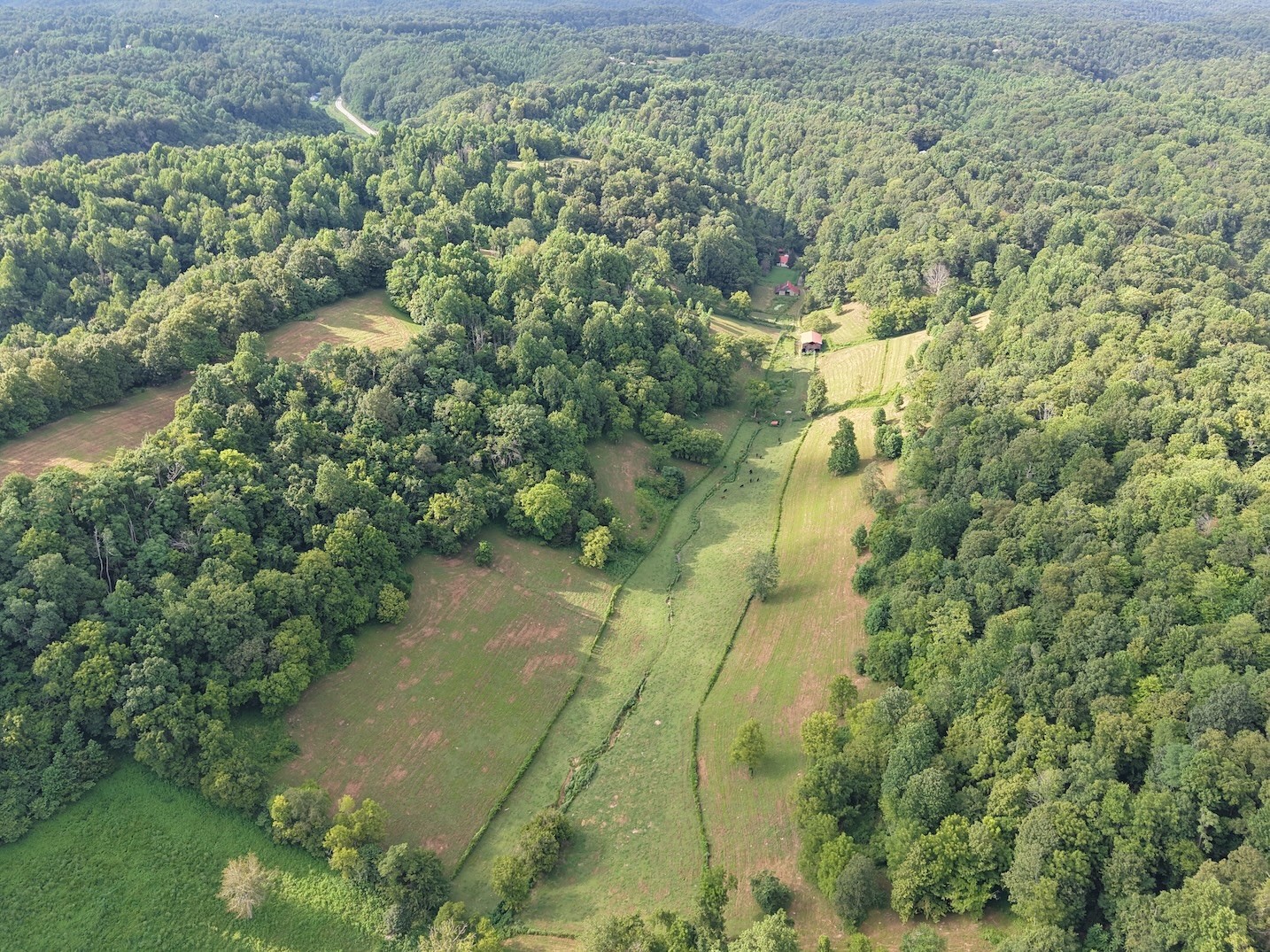 546 Womack Hollow Rd