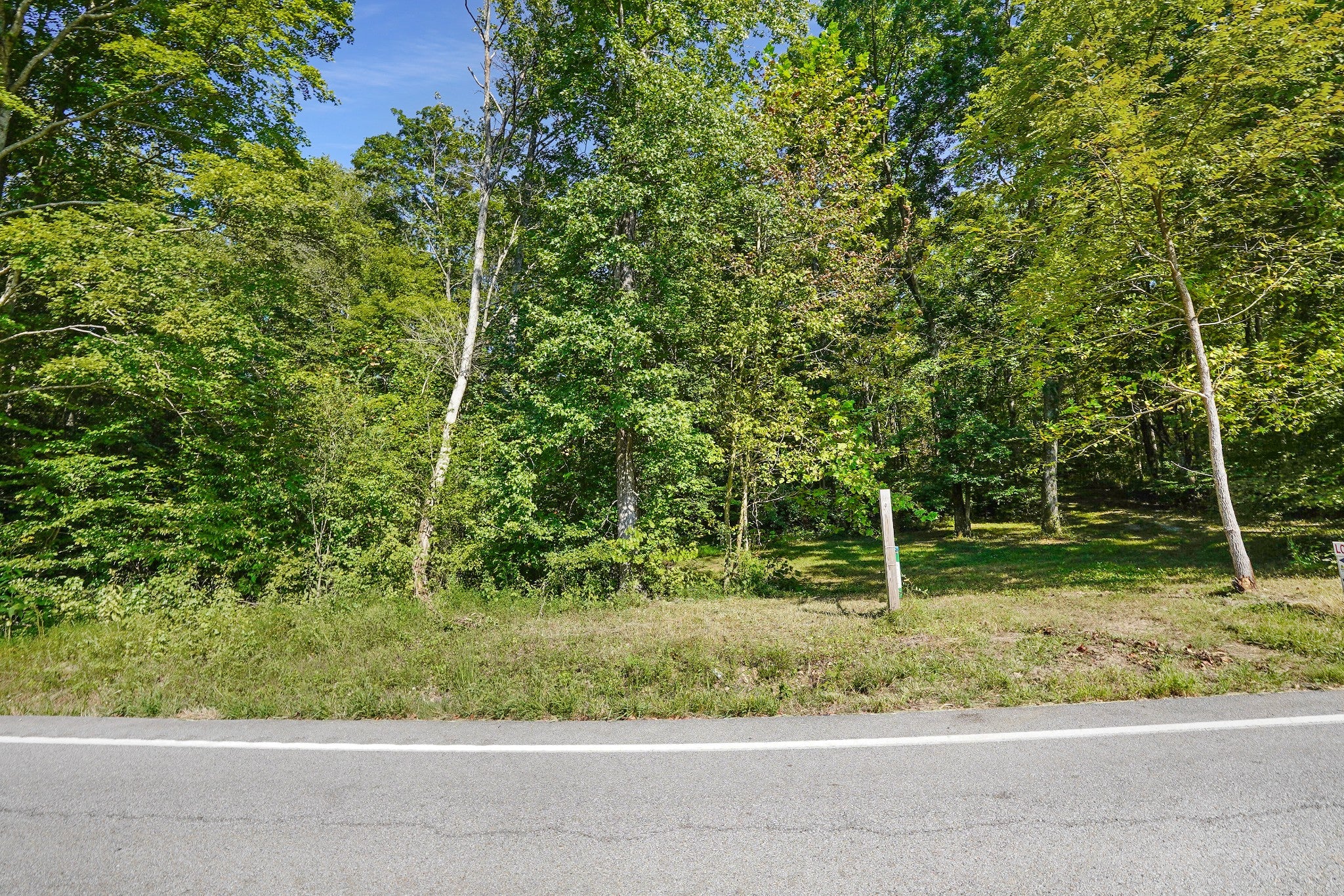 4219 Hwy 49