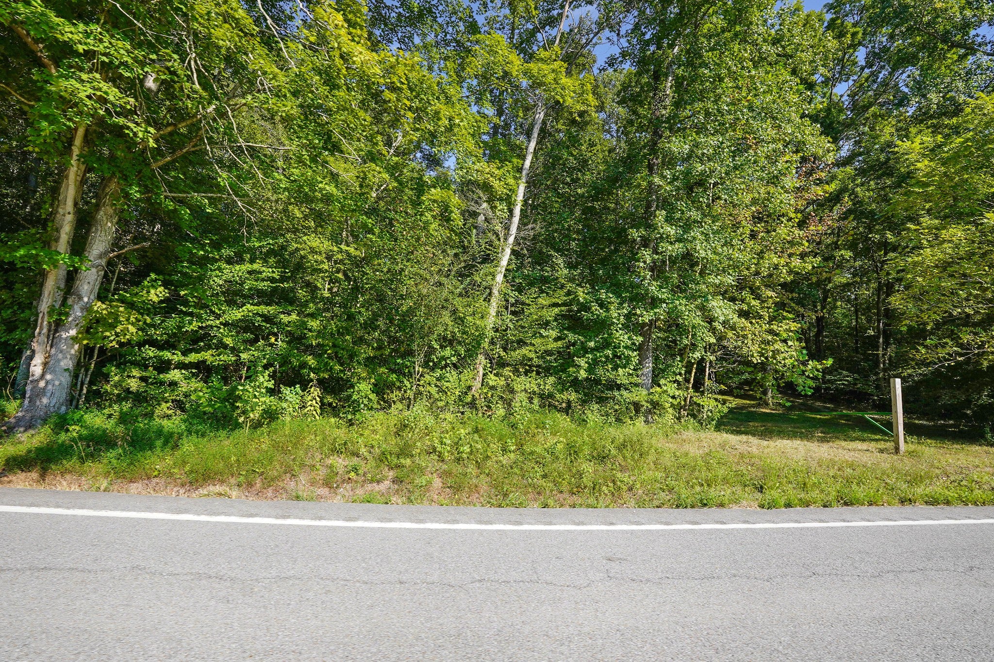 4219 Hwy 49