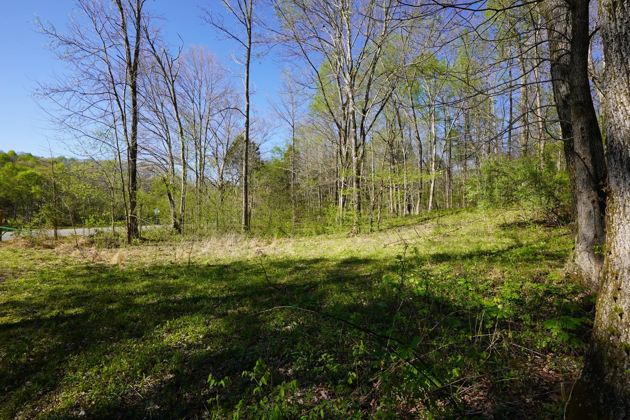 4219 Hwy 49