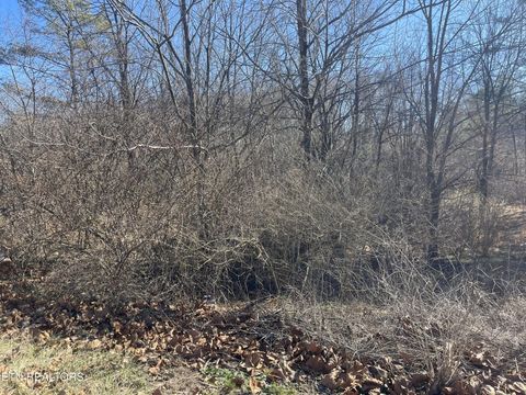 0 Livesay St Crossville TN 38555