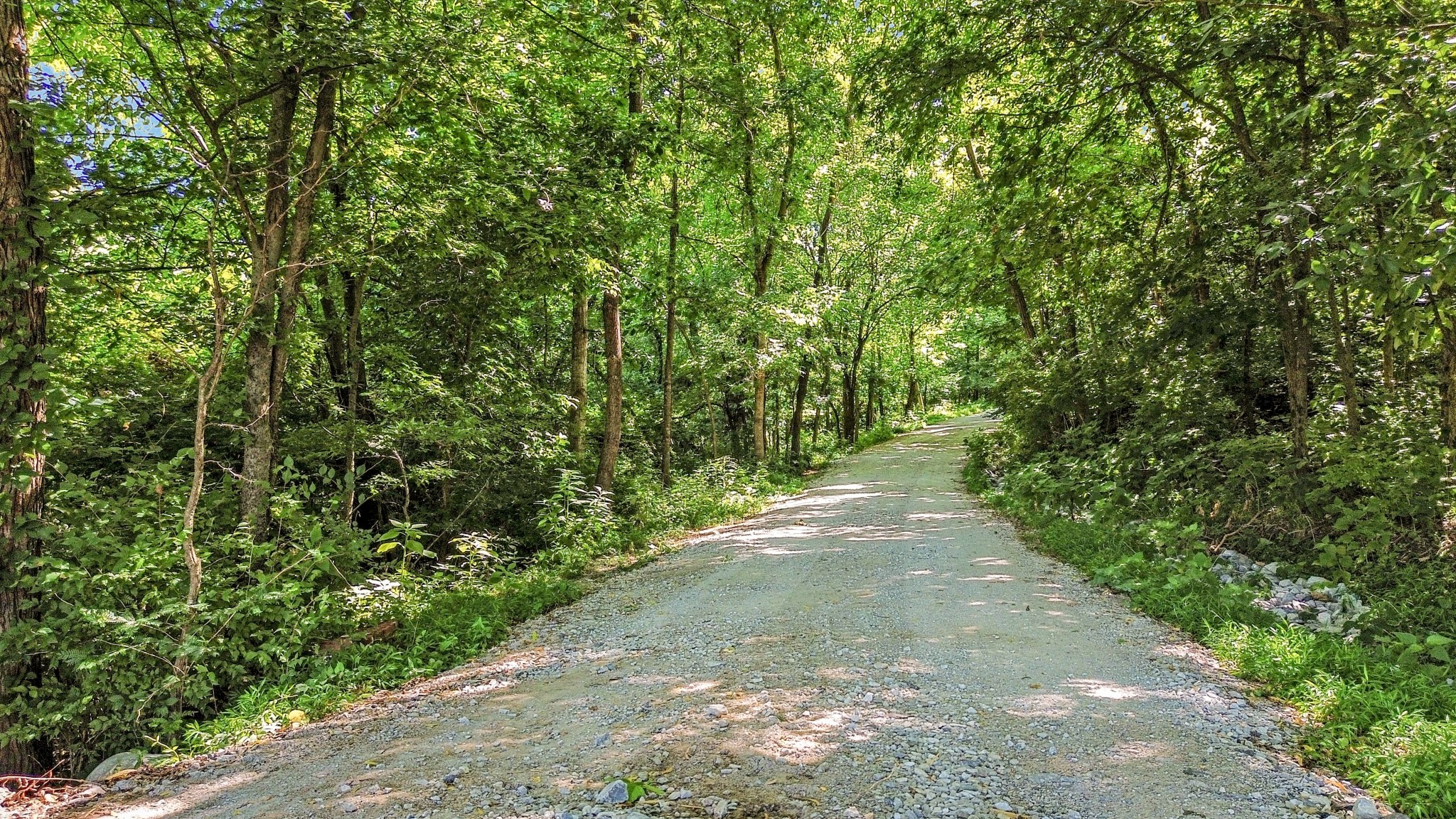 3029 Hartland PVT Lane