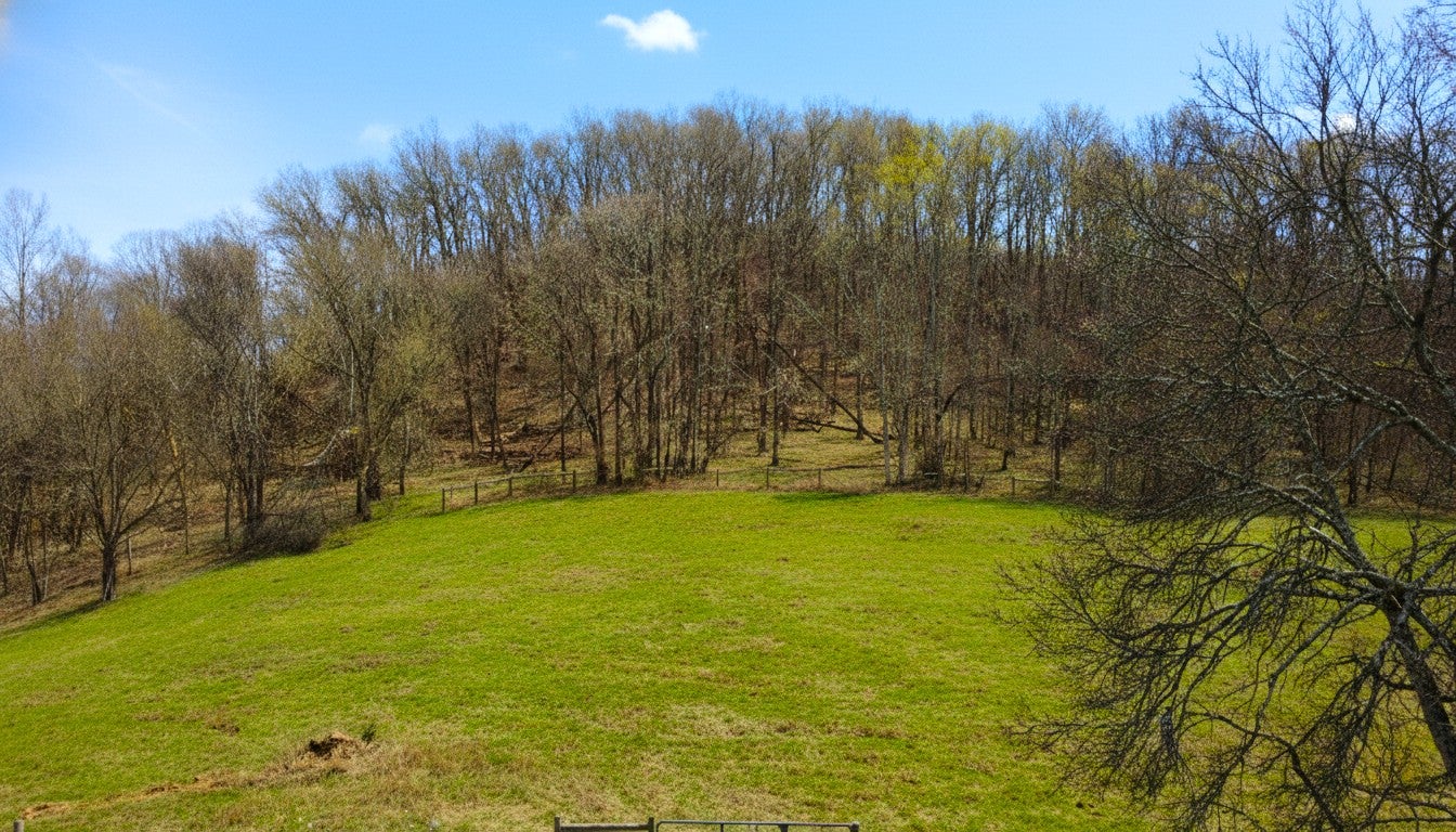 3029 Hartland Pvt Lane, Franklin TN 37069 0-bed lot, photo 9 of 14