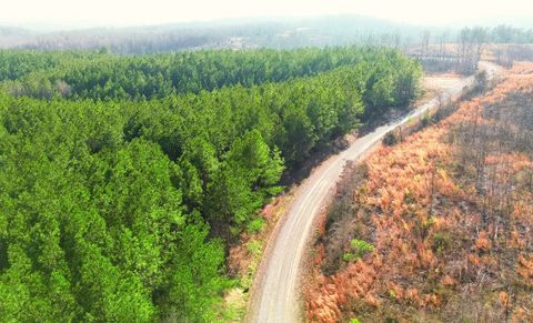 31 Ivy Hollow Ln Stewart TN 37175