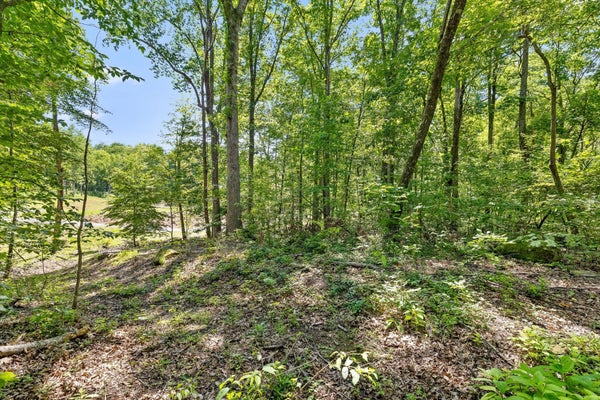 0 MAPLE LEAF TRAIL, LOOKOUT MOUNTAIN, GA 30750 - Image a3df2f4ec8cb7f2bd041e10ea14a5ea4/2309618592