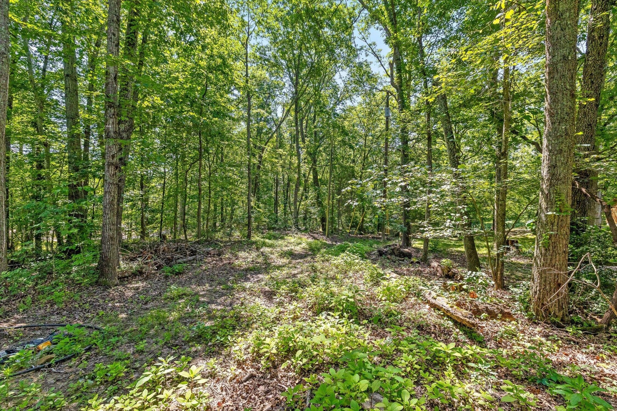 0 Maple Leaf Trail