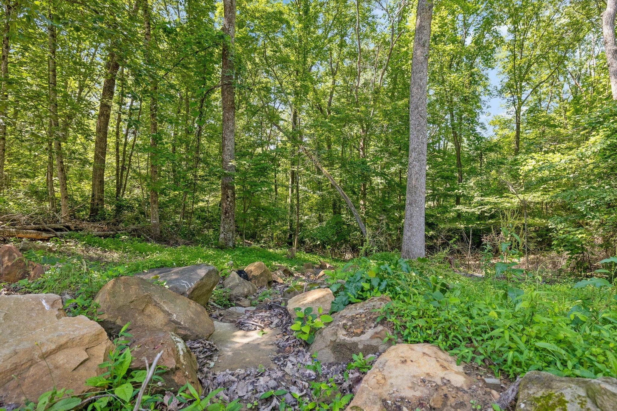 0 Maple Leaf Trail