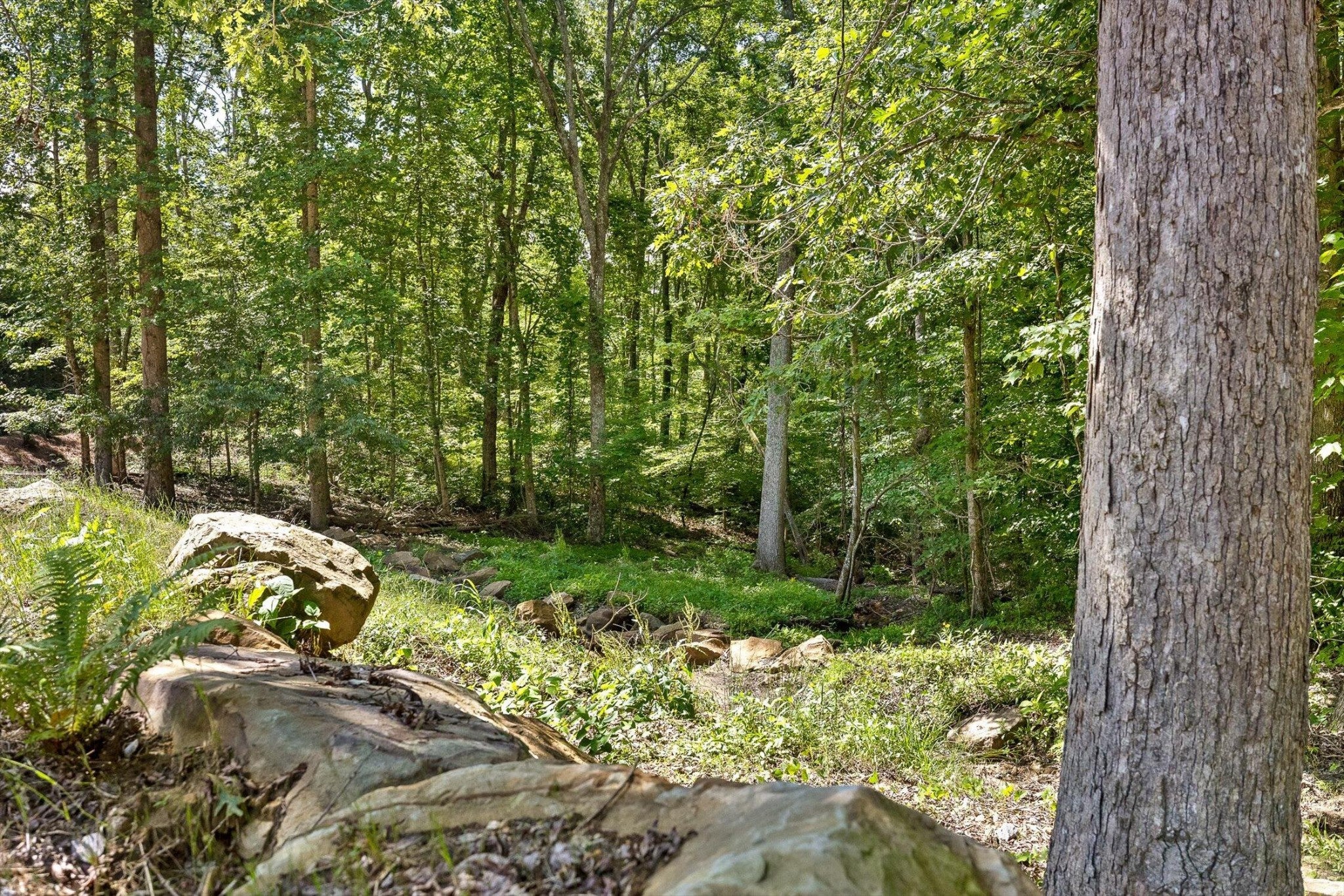 0 Maple Leaf Trail