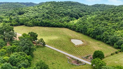 124 Blue Smith Rd Cornersville TN 37047