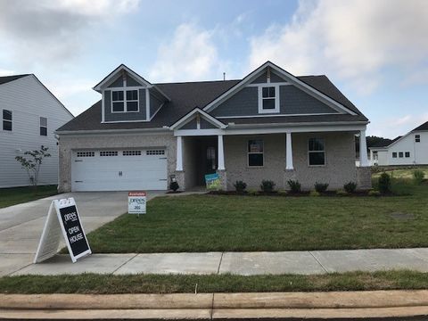 1062 Inez Drive Smyrna TN 37167