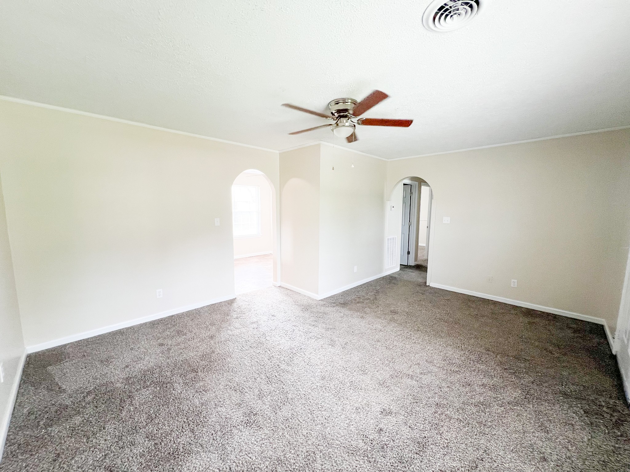317 Ashley St