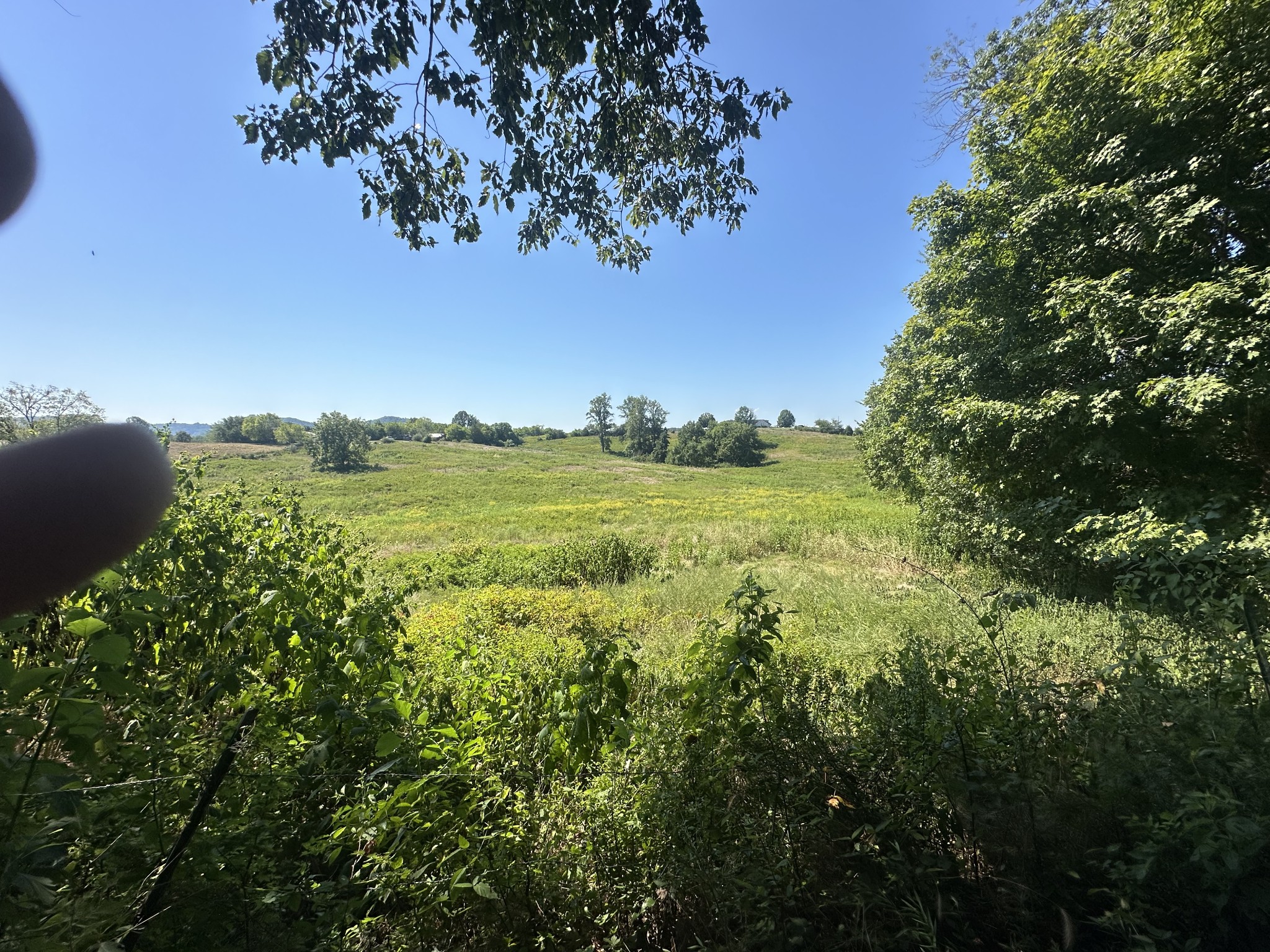 0 McClures Bend Ln