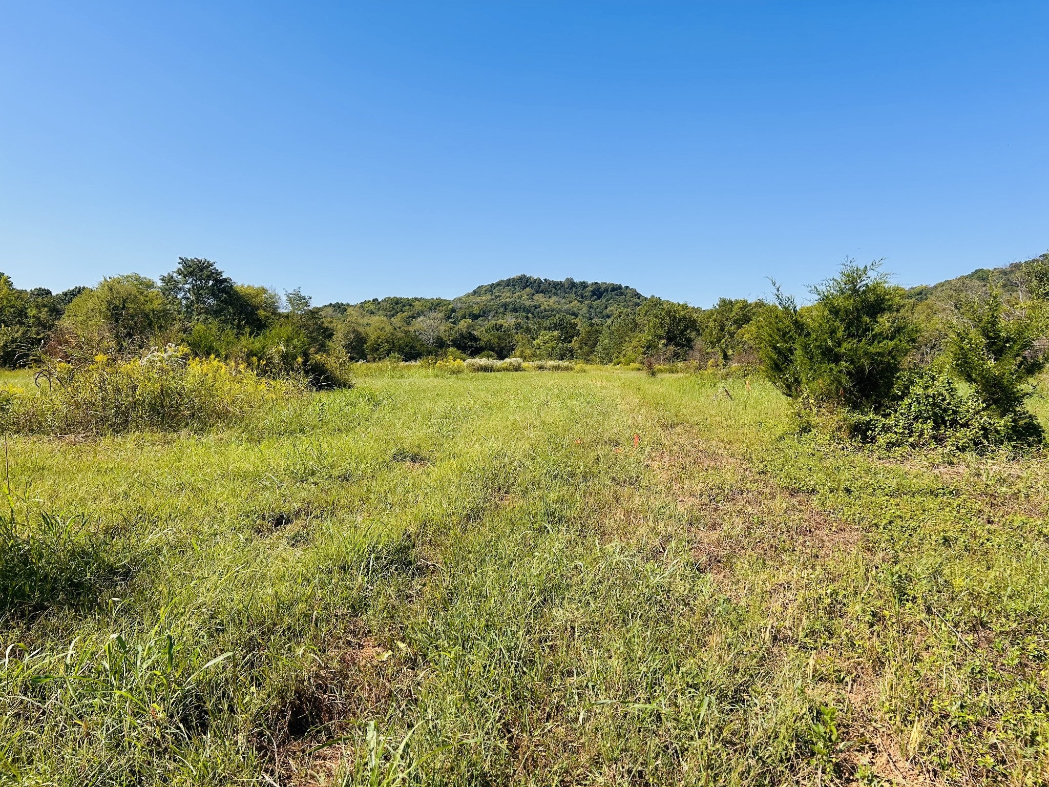 0 Bradyville Pike