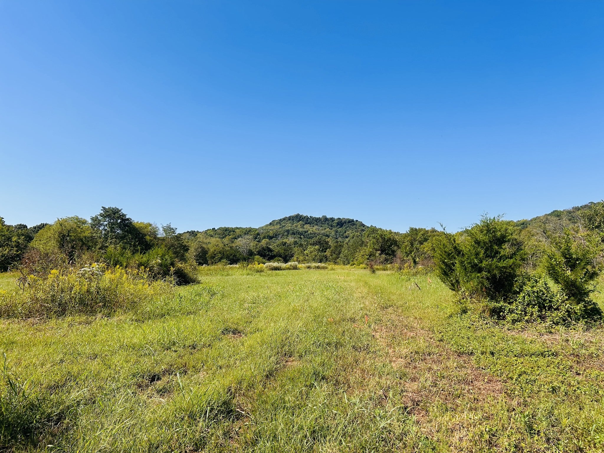 0 Bradyville Pike