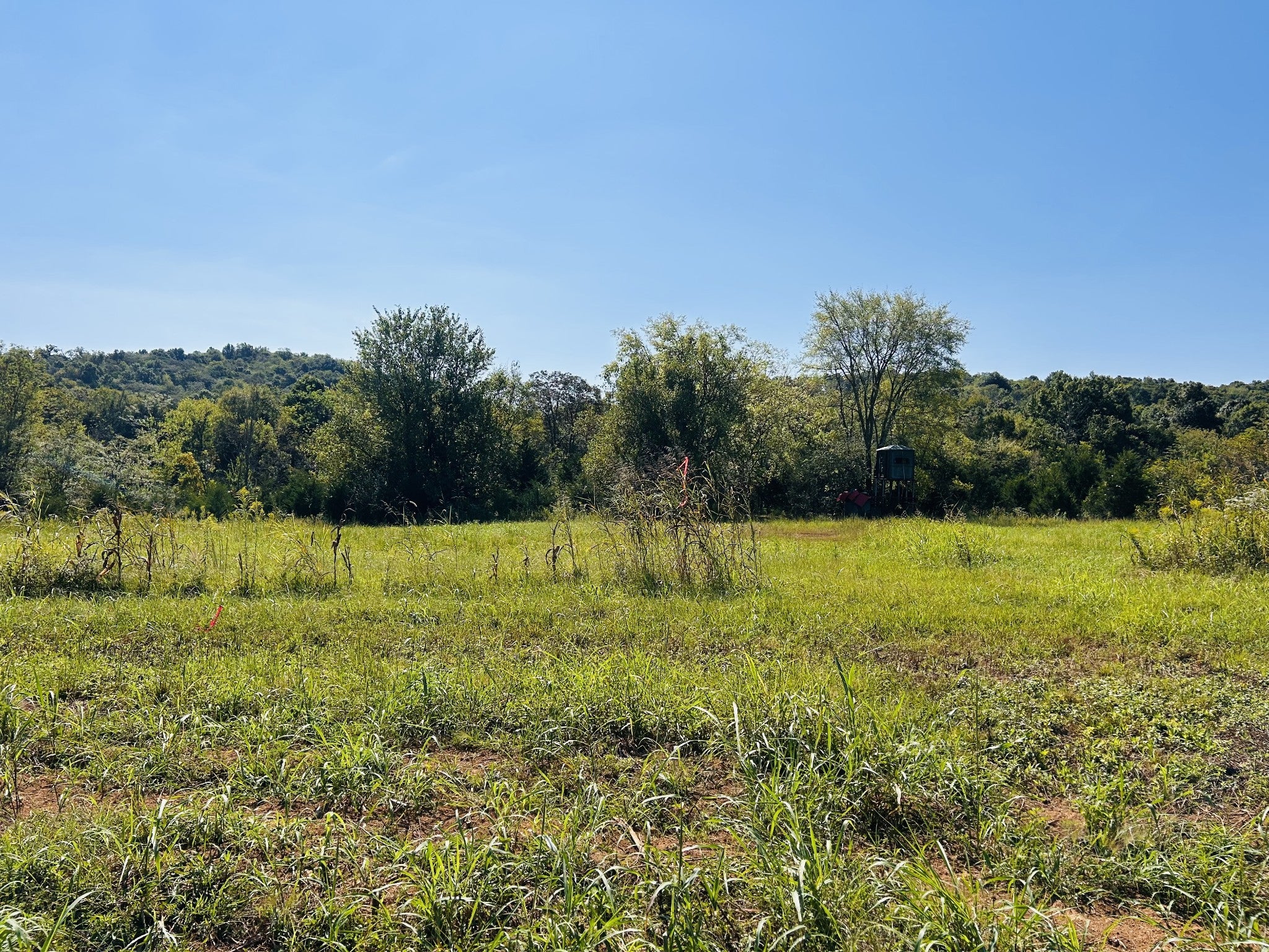 0 Bradyville Pike