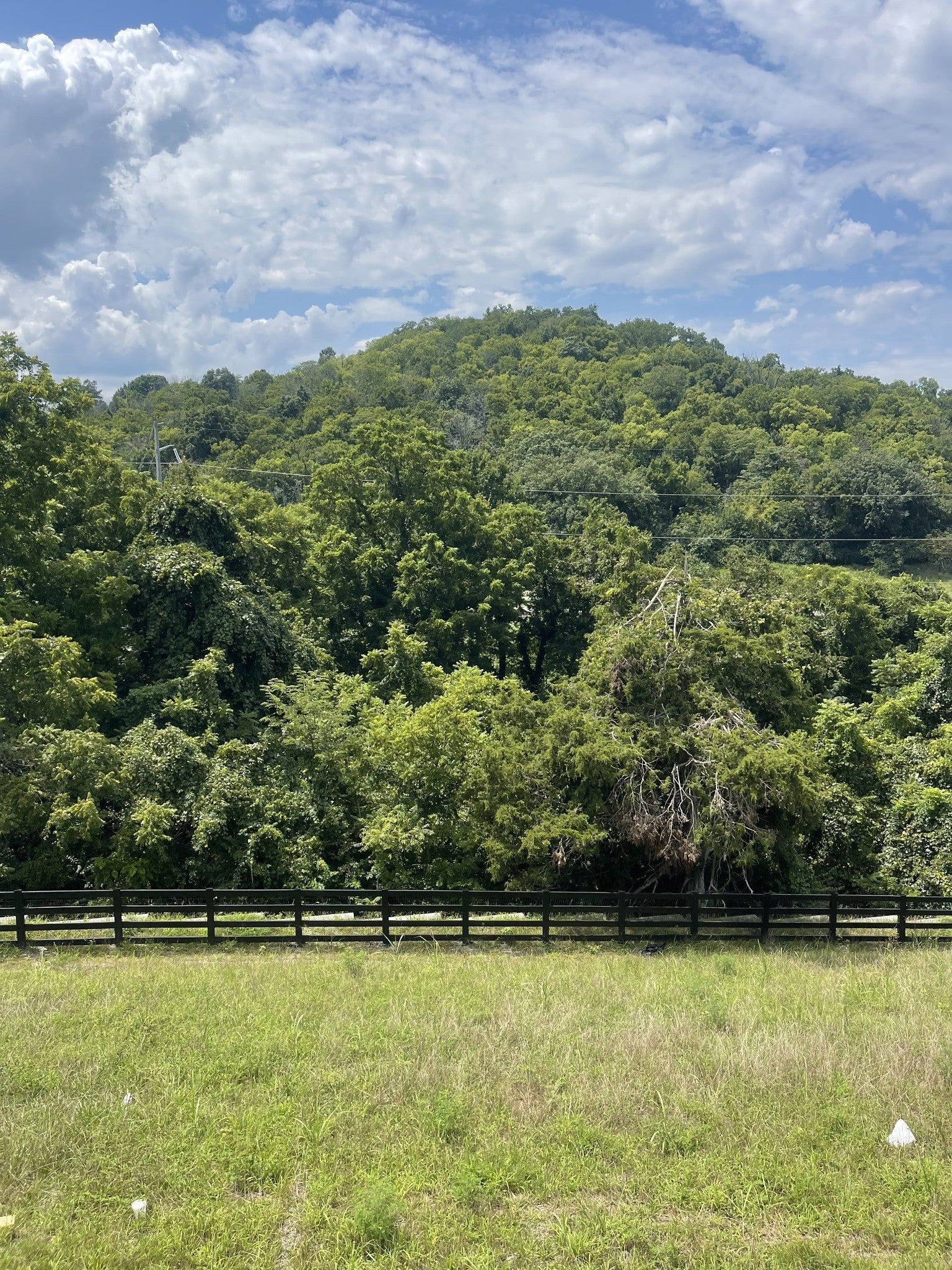213 Berry Hunter Lane