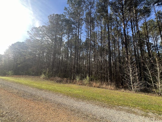 116 ZARA SPOOK DR, CEDAR GROVE, TN 38321 - Image a4a30e5ba2e8ed933db4dc02ffca64bc/2139238507
