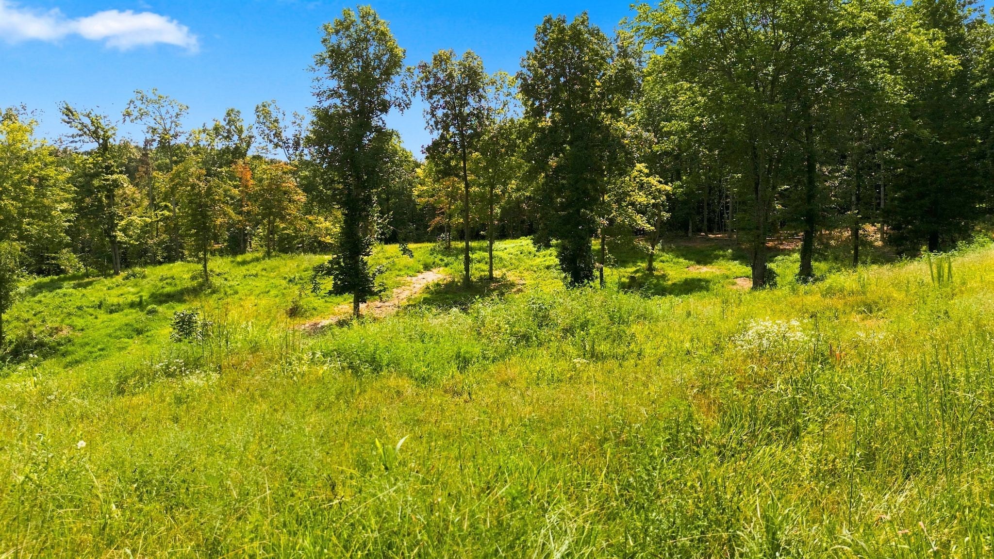 1086 Red Oak Road