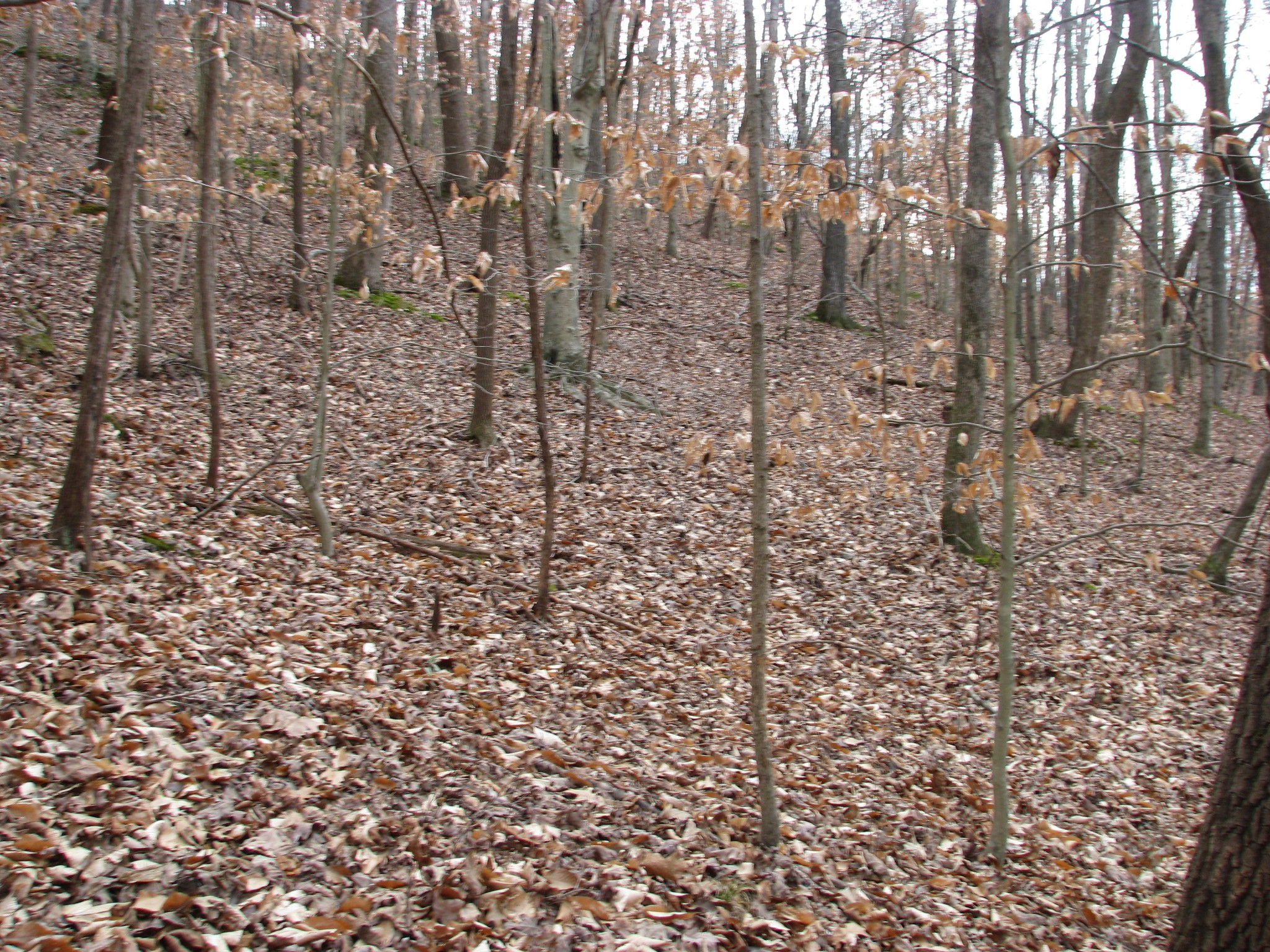 0 Stonewall Jackson Drive