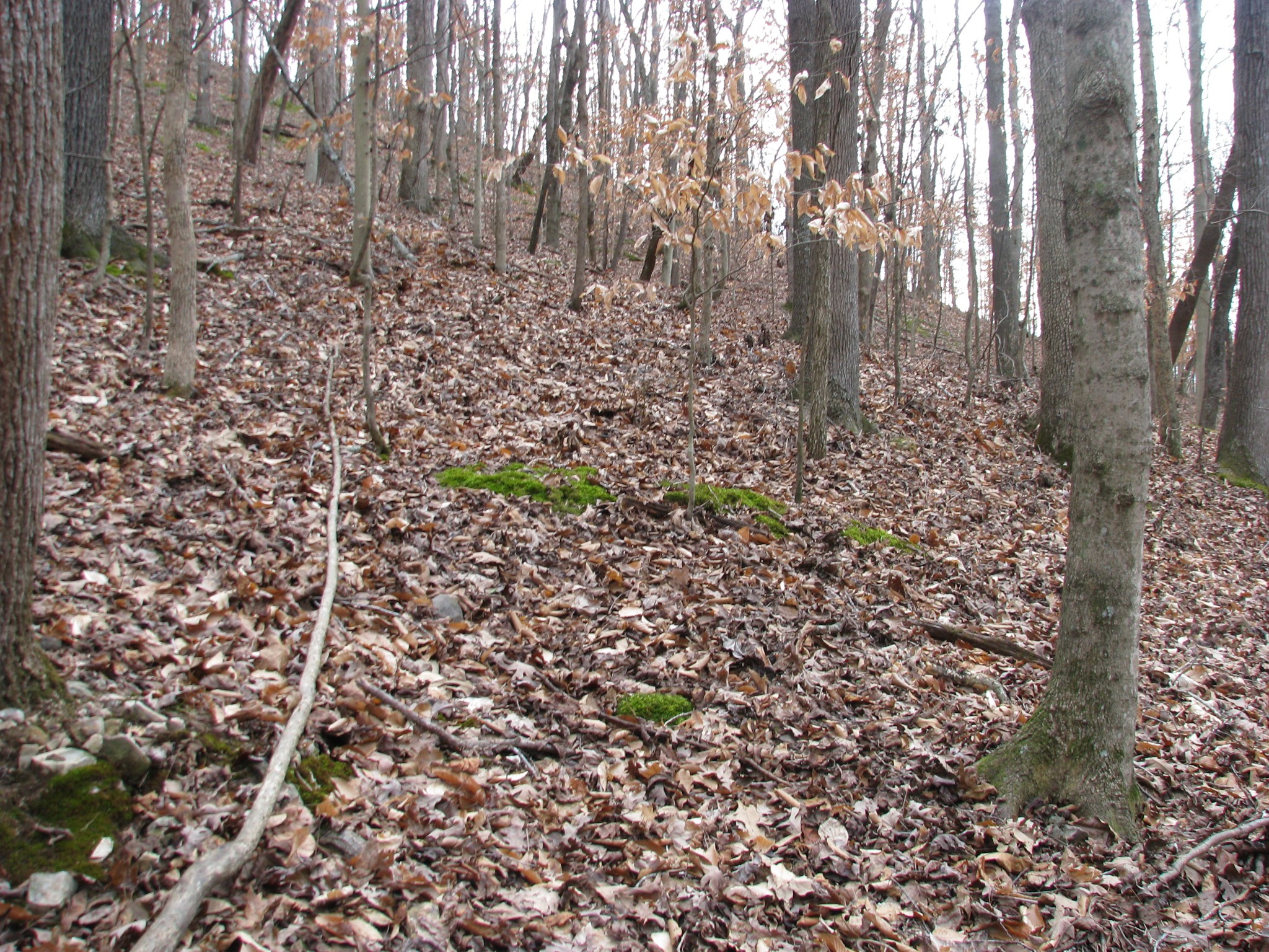 0 Stonewall Jackson Drive