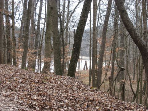 0 Stonewall Jackson Drive Waverly TN 37185