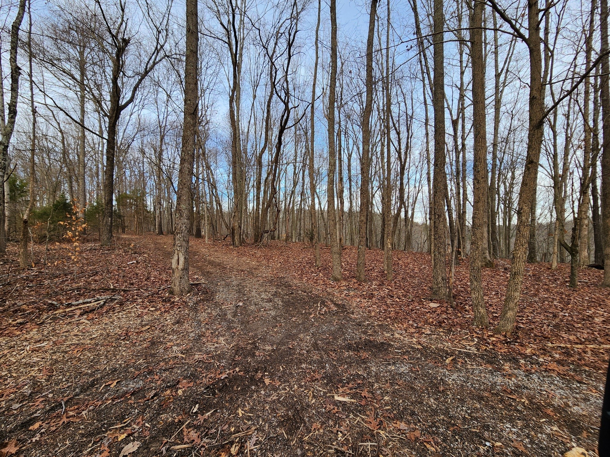 0 Adamson Branch Rd