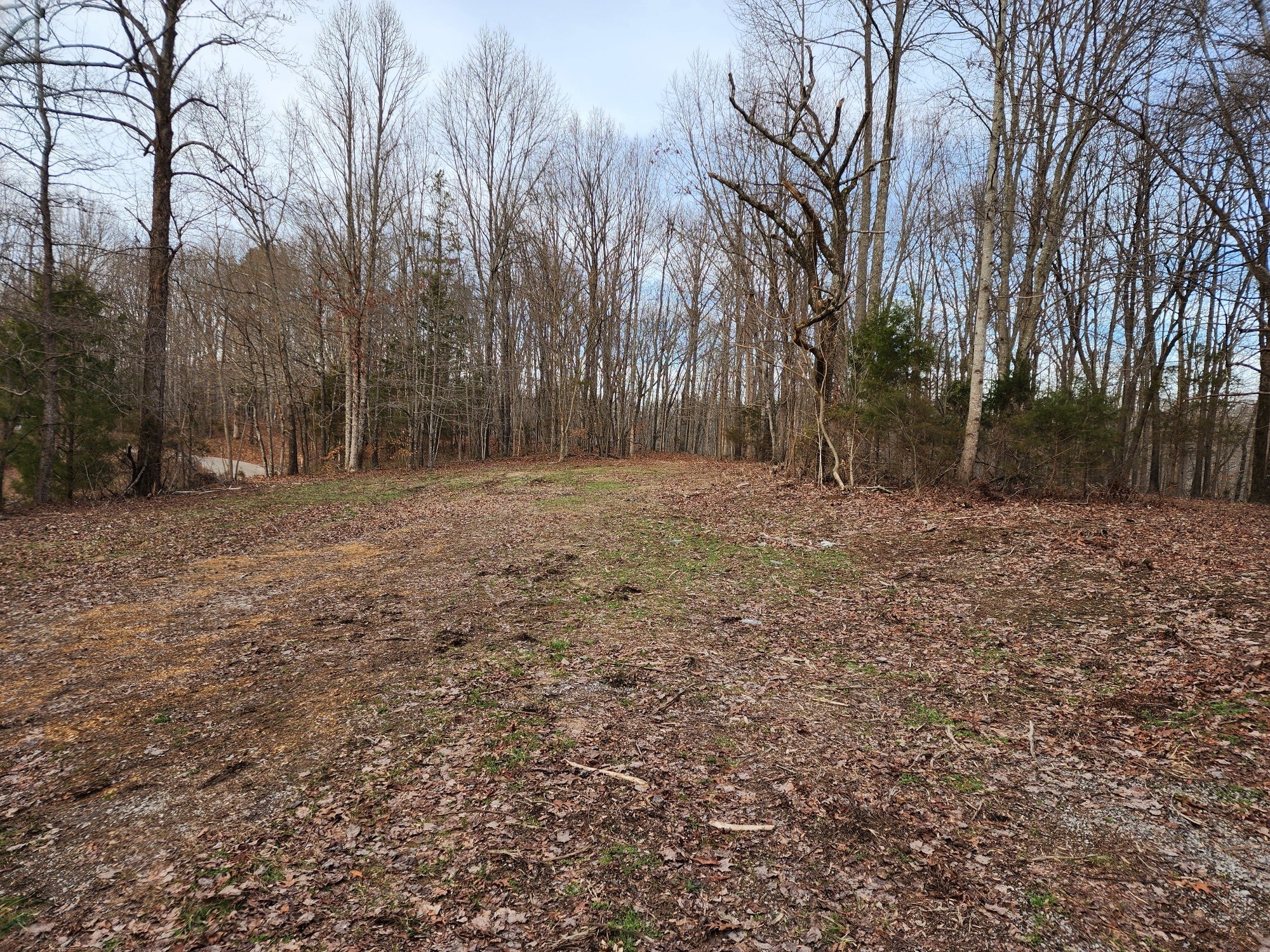 0 Adamson Branch Rd