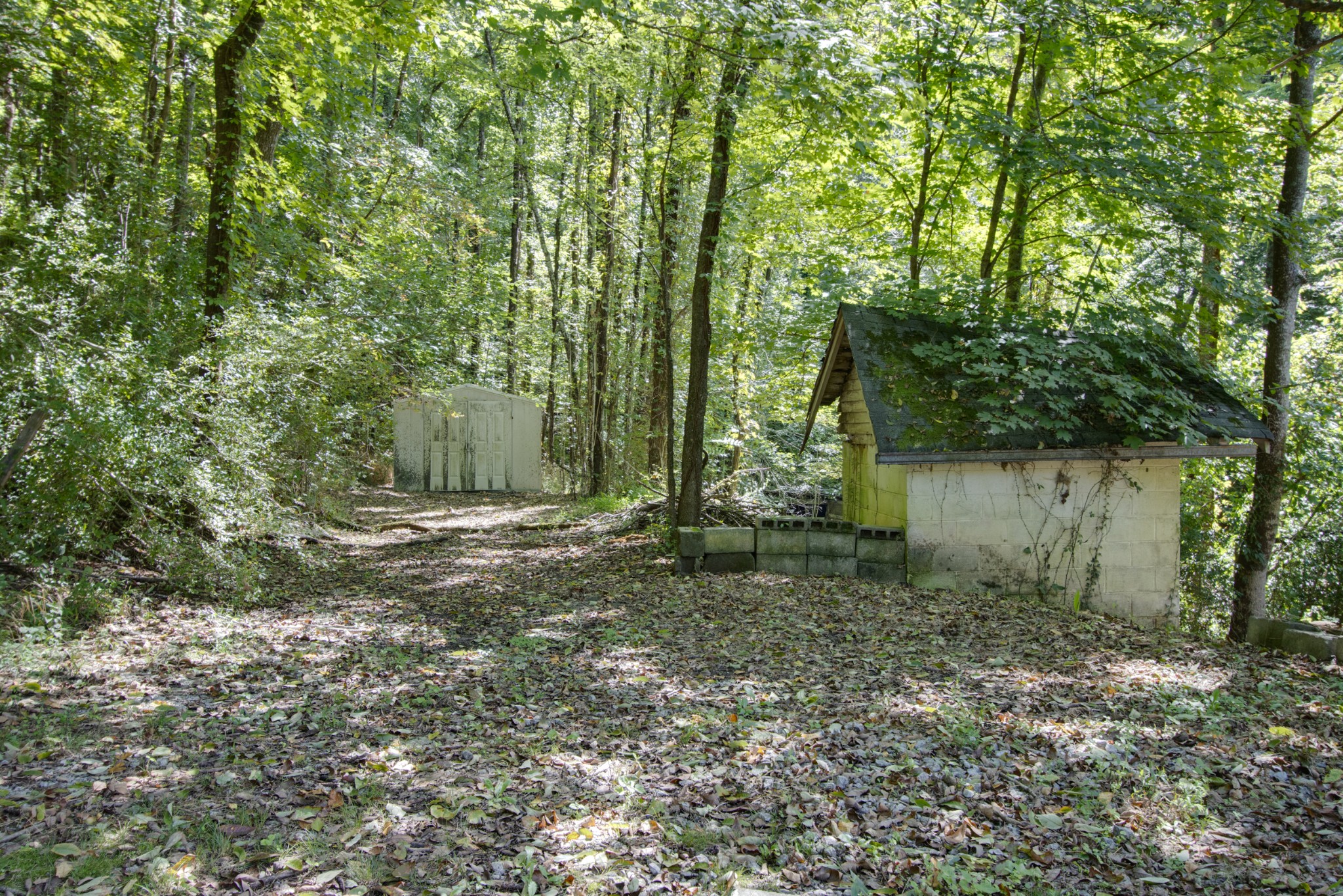 140 Hoot Owl Hollow Rd