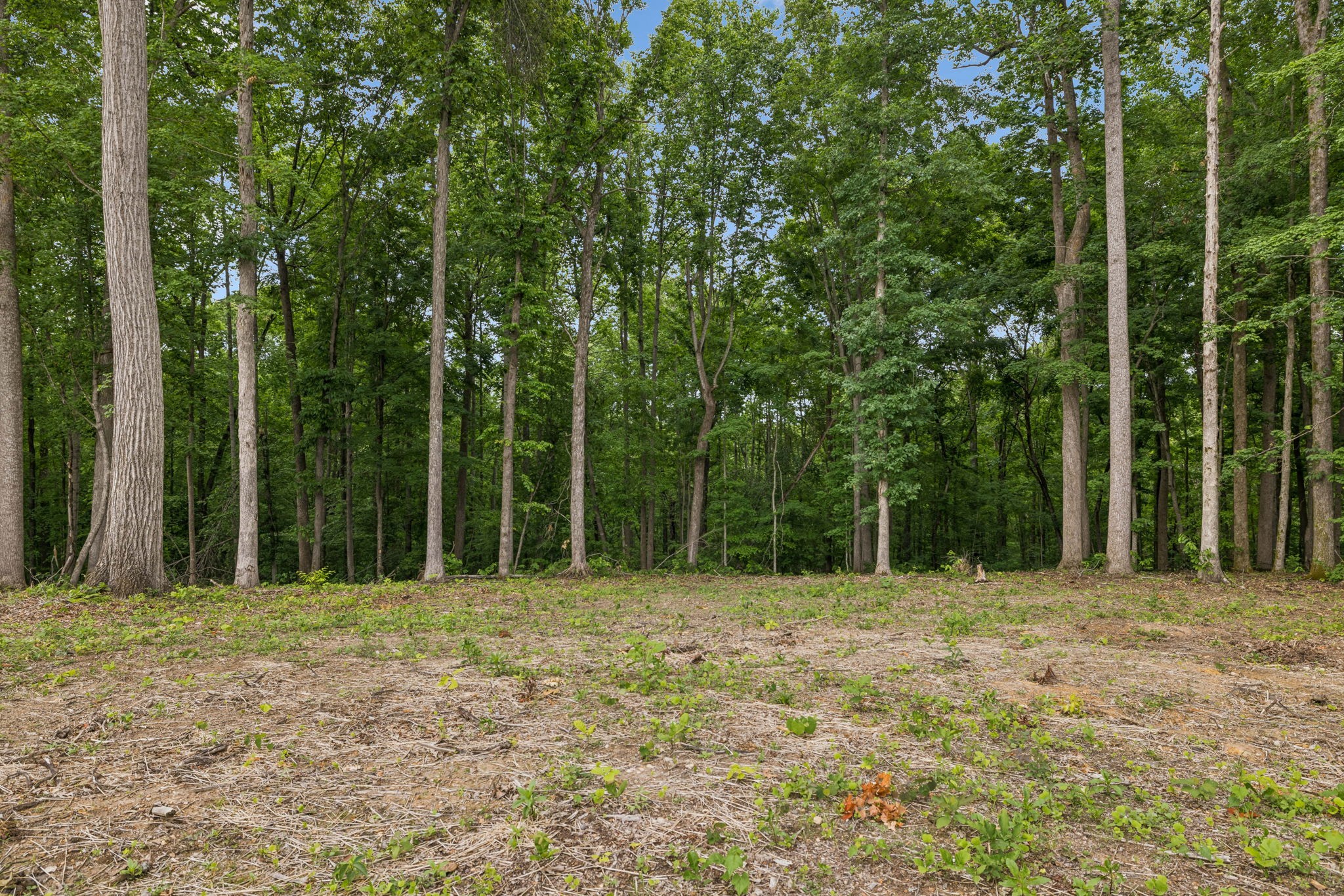5610 Parker Branch Trl, Franklin TN 37064 0-bed lot, photo 13 of 25