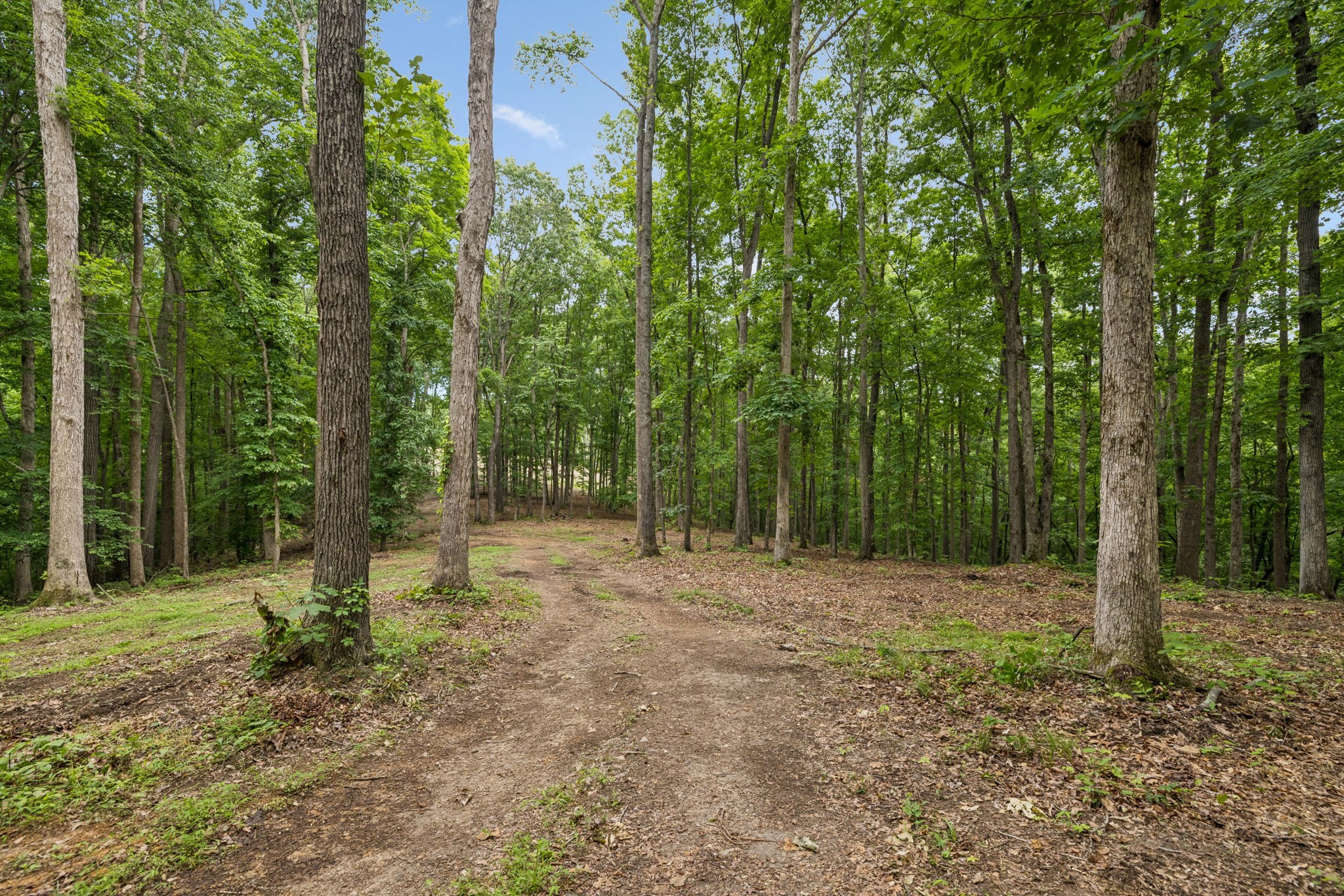 5610 Parker Branch Trl, Franklin TN 37064 0-bed lot, photo 8 of 25