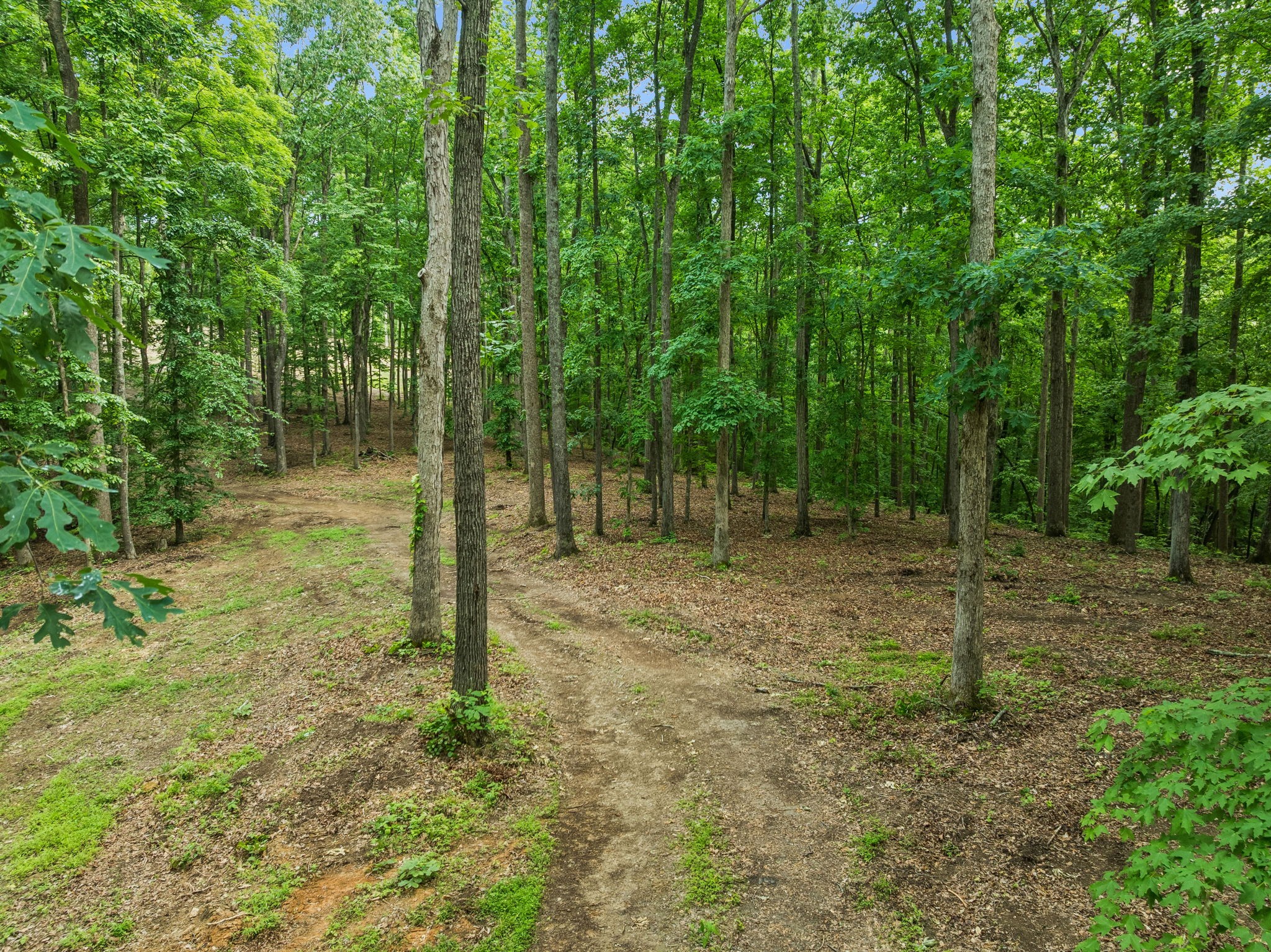 5610 Parker Branch Trl, Franklin TN 37064 0-bed lot, photo 16 of 25