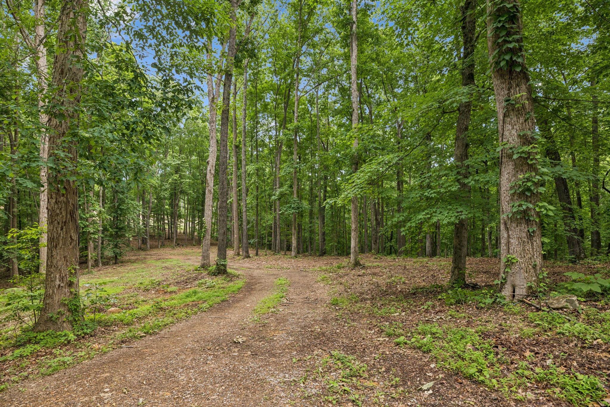 5610 Parker Branch Trl, Franklin TN 37064 0-bed lot, photo 7 of 25