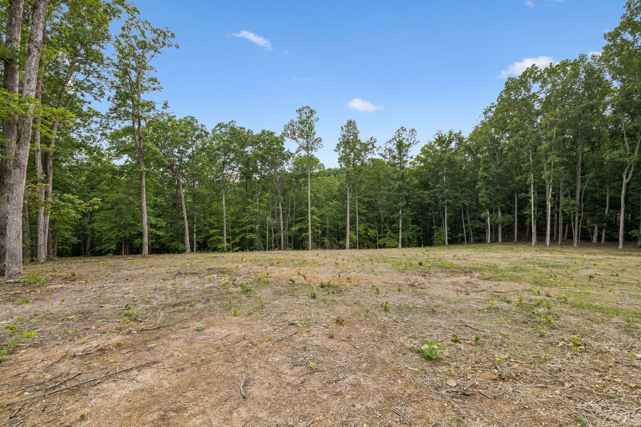 5610 Parker Branch Trl, Franklin TN 37064 0-bed lot, photo 12 of 25