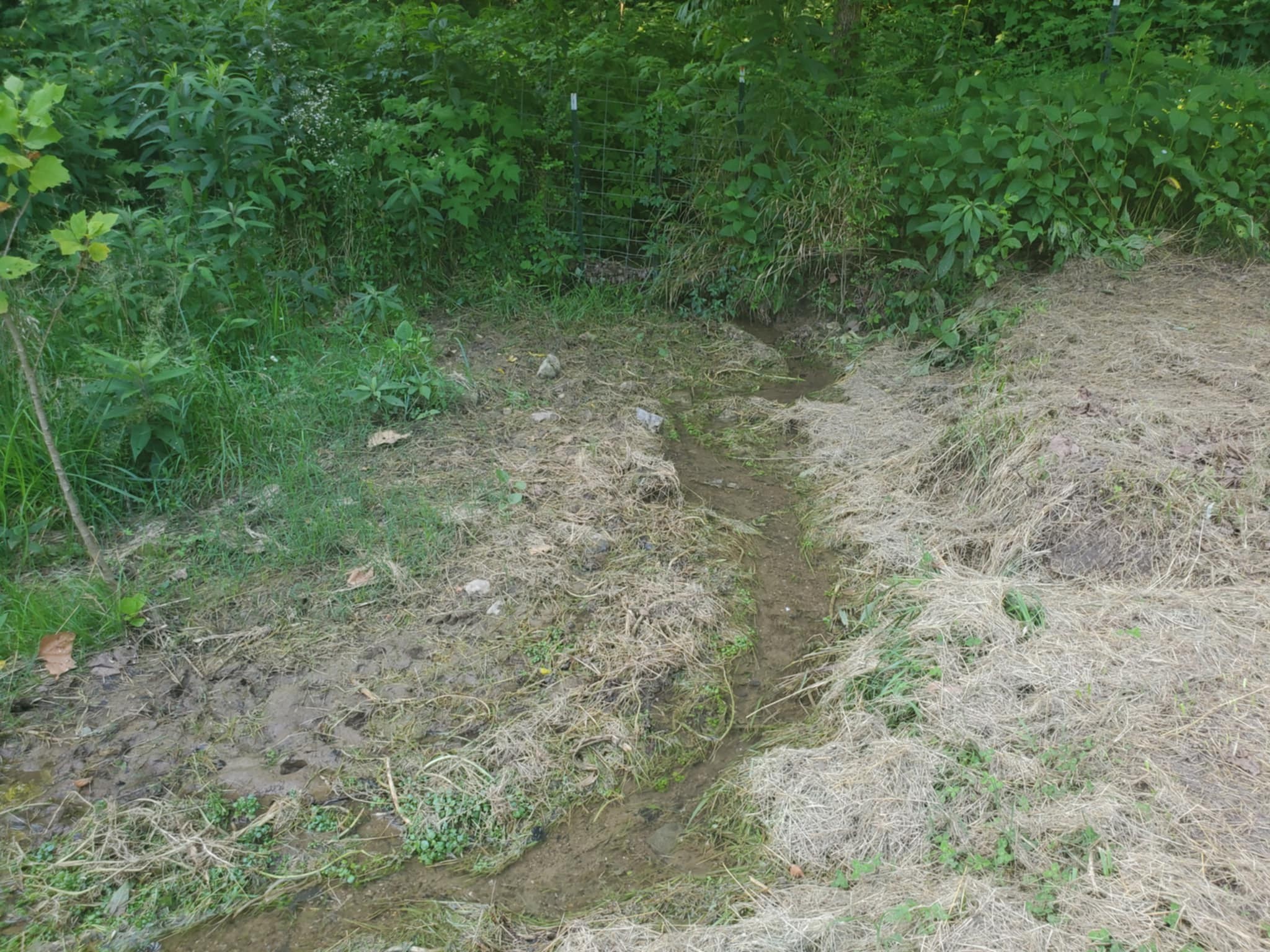 0 Wilkerson Hollow Ln