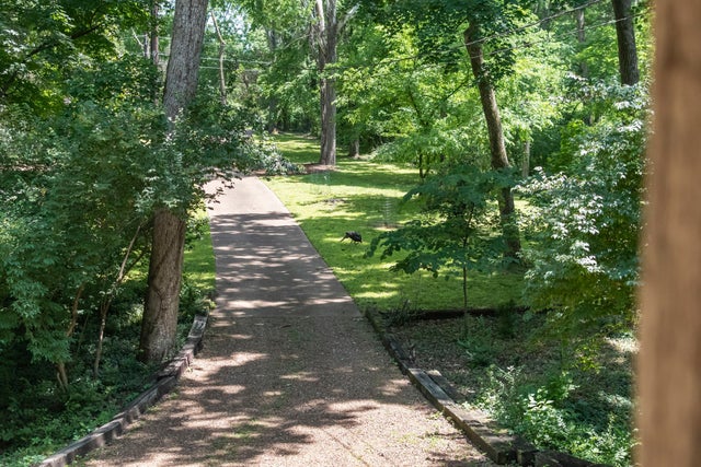 4425 Brush Hill Rd, Nashville - listing photo 5