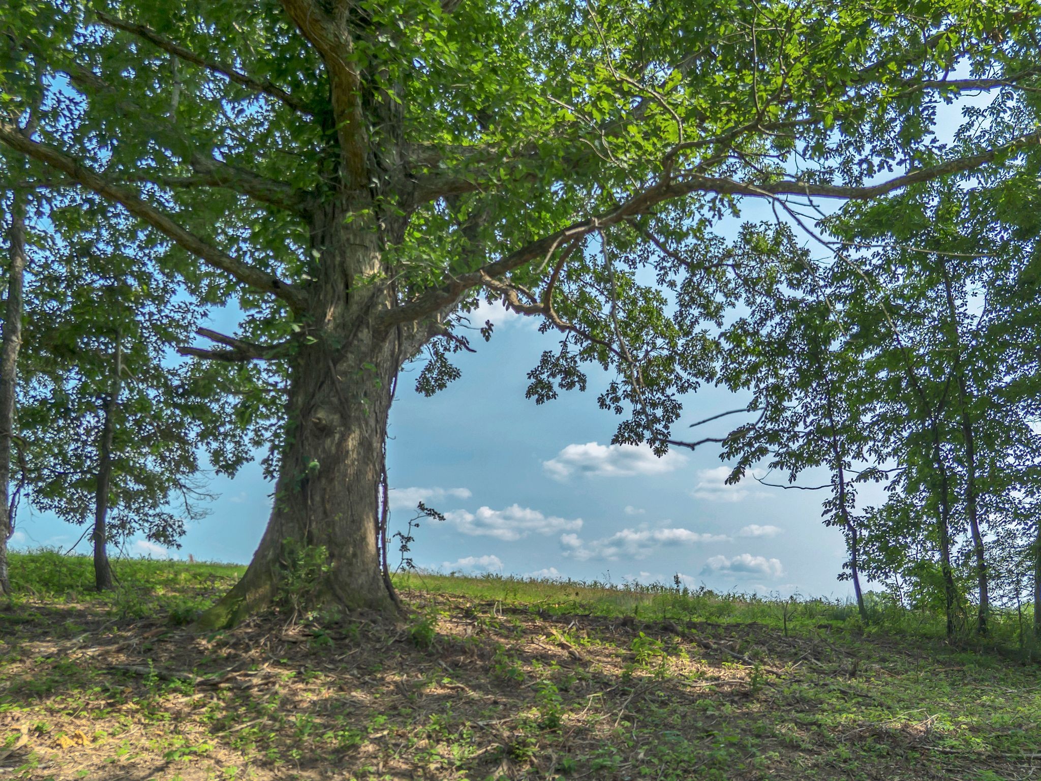 1 Hurricane Creek Rd