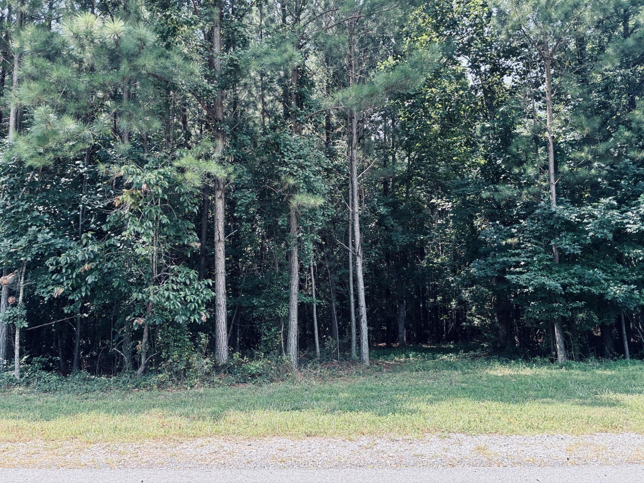 395 Volunteer Street