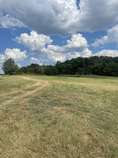 1494 Old Nashville Dirt Rd