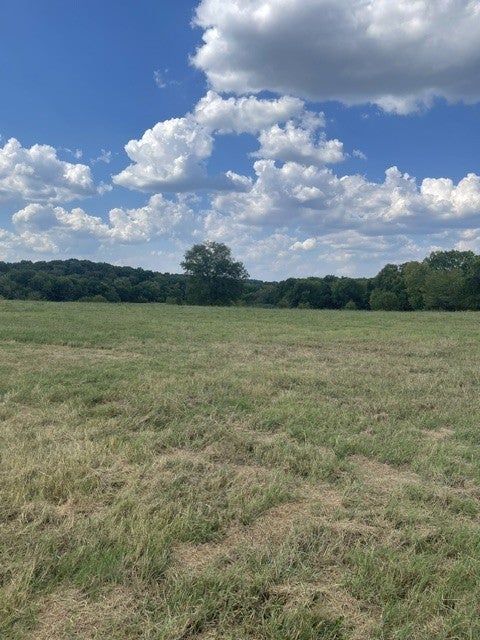 1494 Old Nashville Dirt Rd