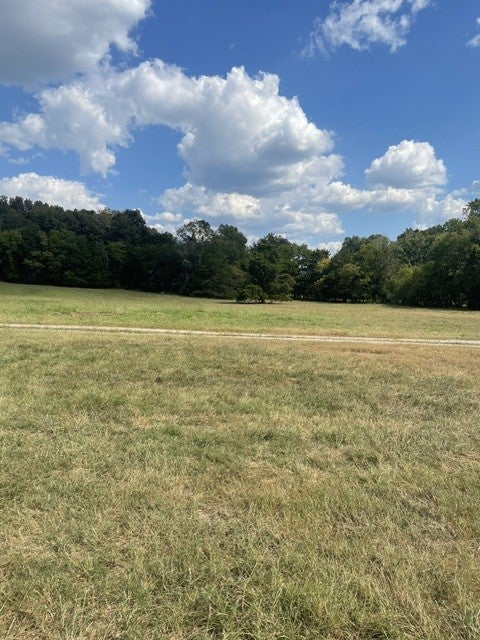 1494 Old Nashville Dirt Rd