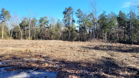 0 Arnold Lane Wartrace TN 37183