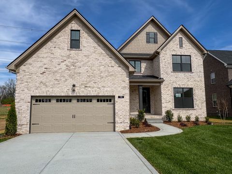 Photo of 118 Hayden Ln lot 223 Ln, Gallatin, TN 37066 (MLS # 3169007)