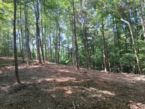 Photo of 746 October Drive, Smithville, TN 37166 (MLS # 3619277)