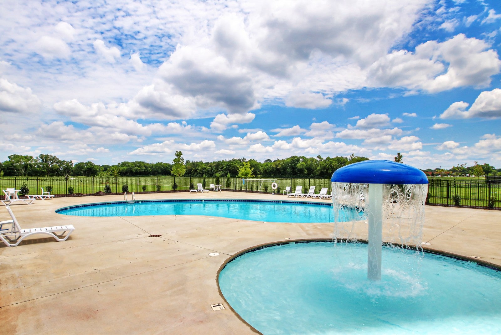 3702 Wiregrass Court