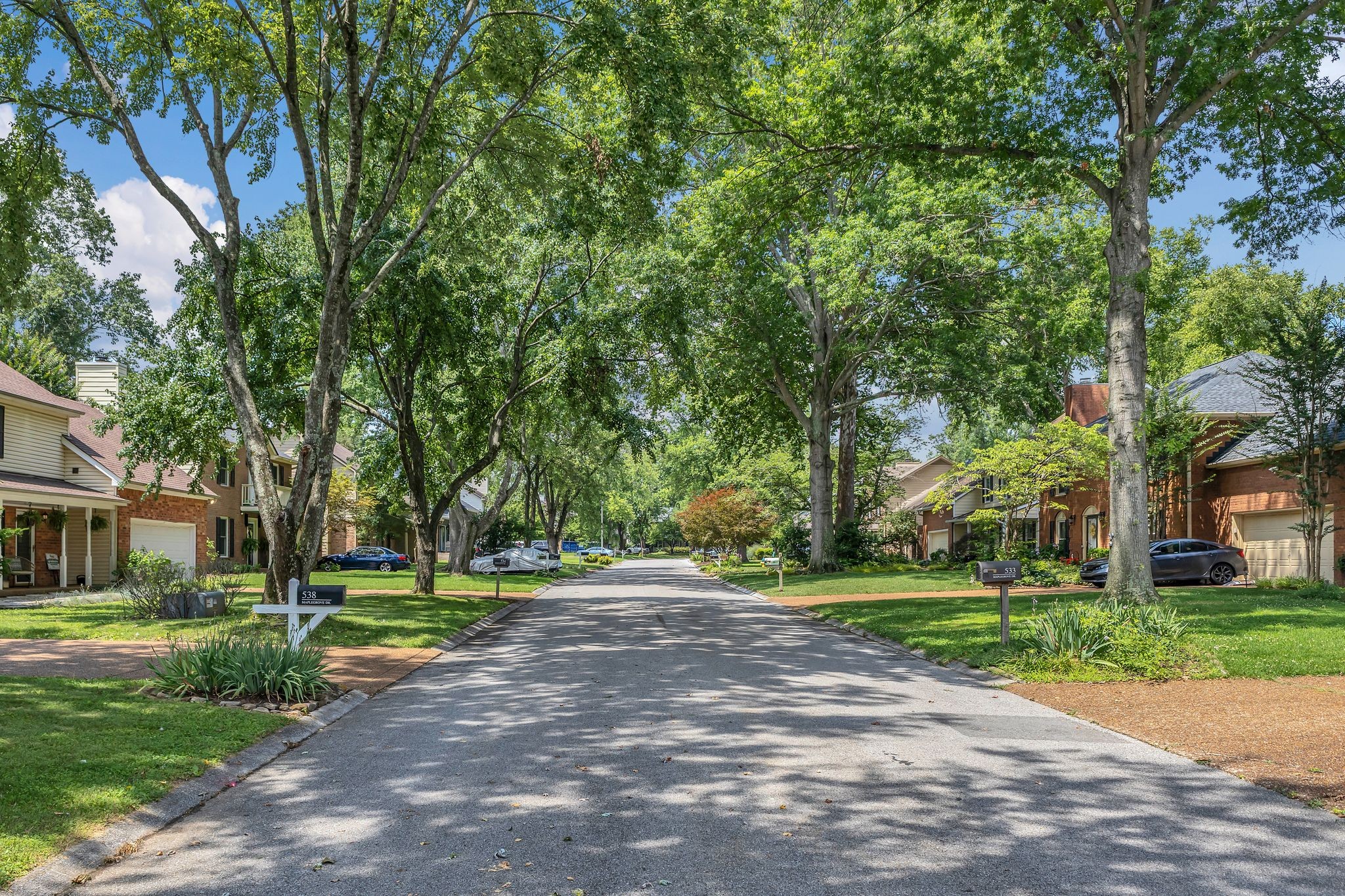 538 Maplegrove Dr