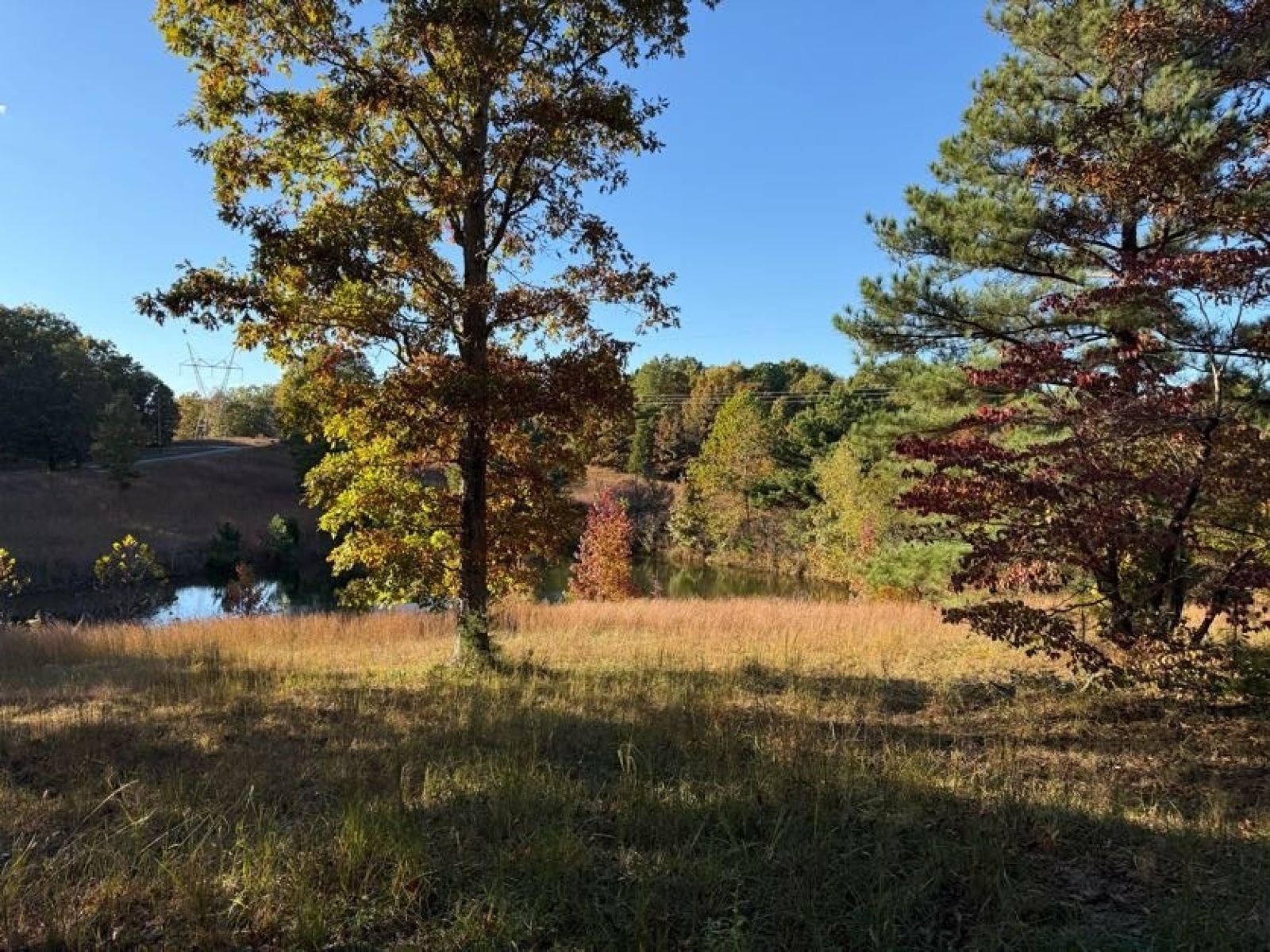 1600 Little Hurricane Creek Rd