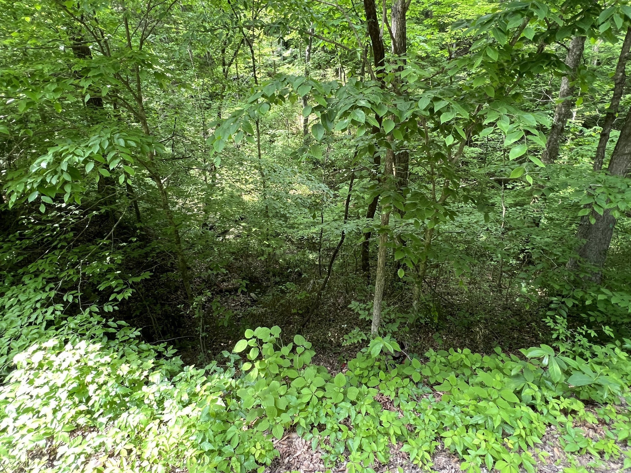 0 Clay Lick Rd
