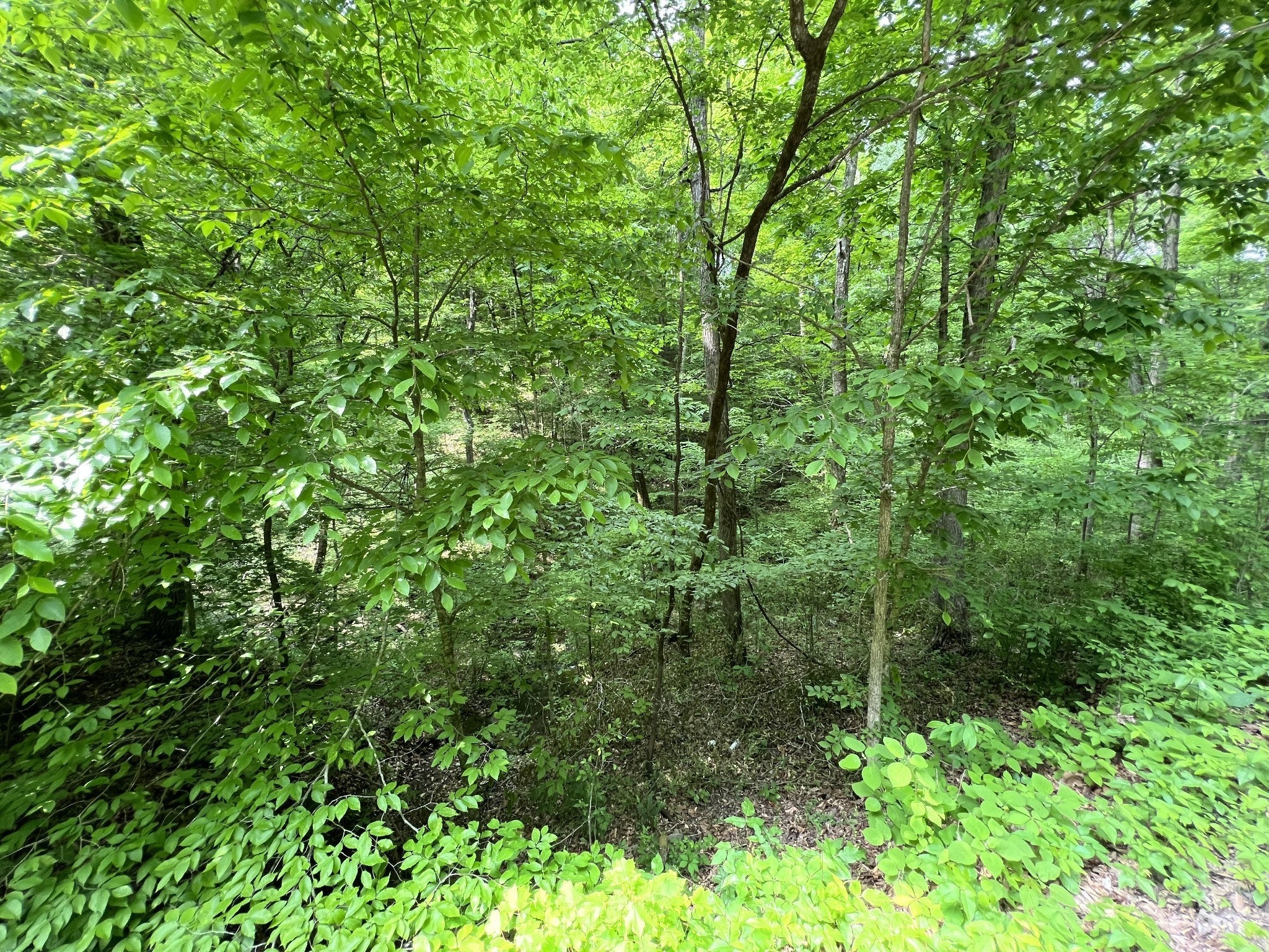 0 Clay Lick Rd