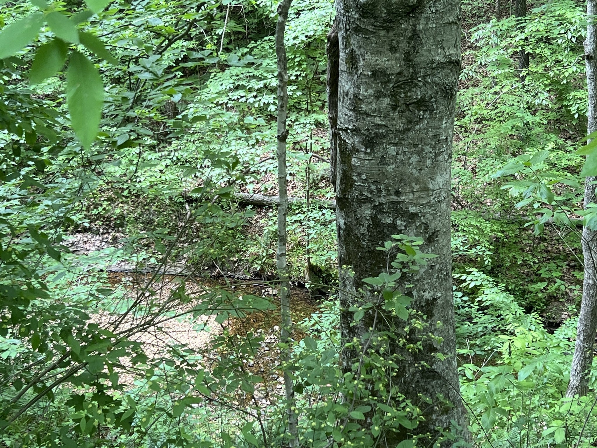 0 Clay Lick Rd