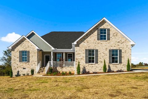 4108 Airport Rd Springfield TN 37172